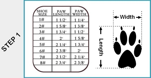 Dog Boot Size Chart